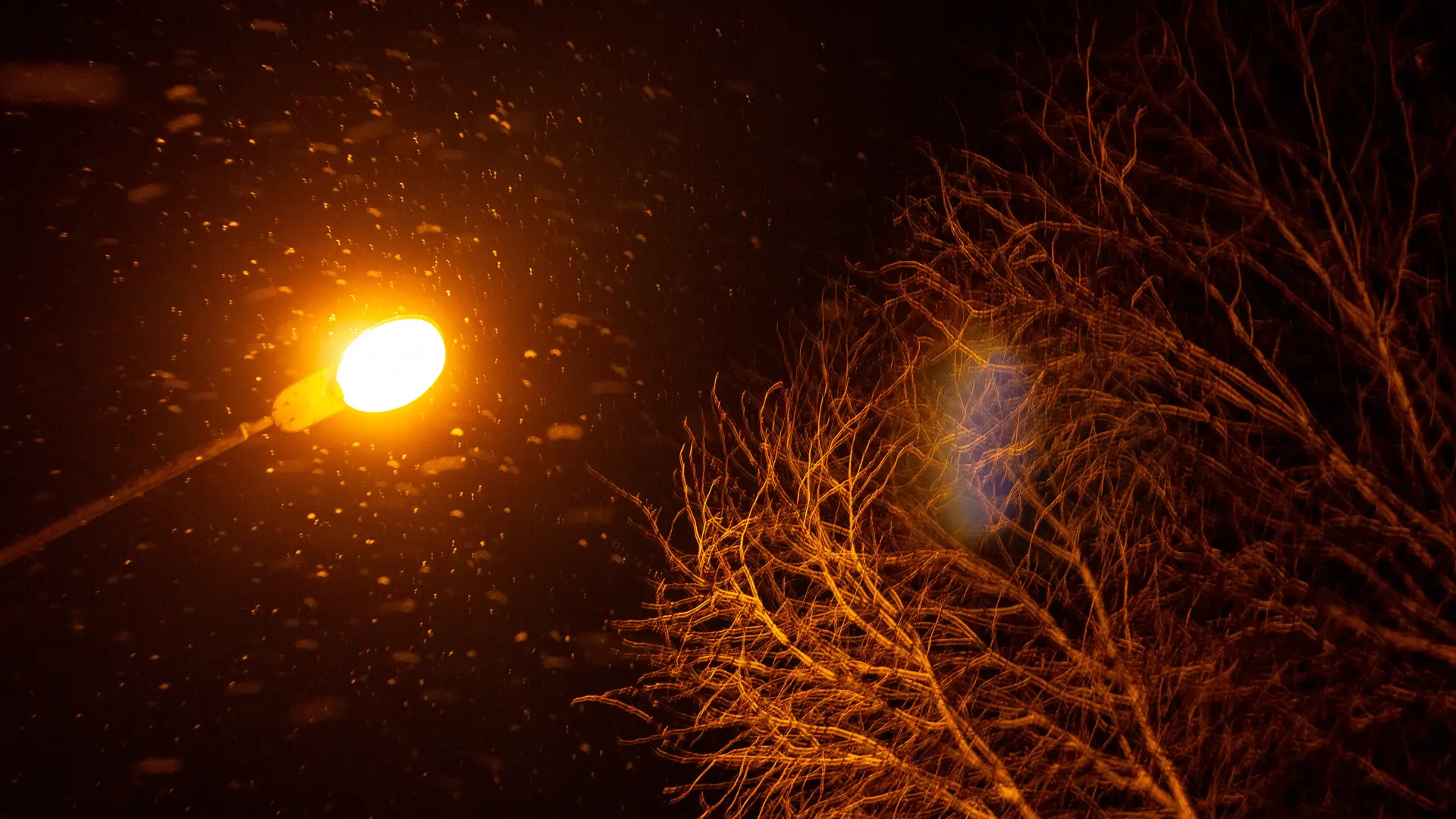 A poorly taken photo had a cool effect